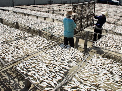 Vietnam's fisheries exports target US$6.5 billion revenue this year - ảnh 1